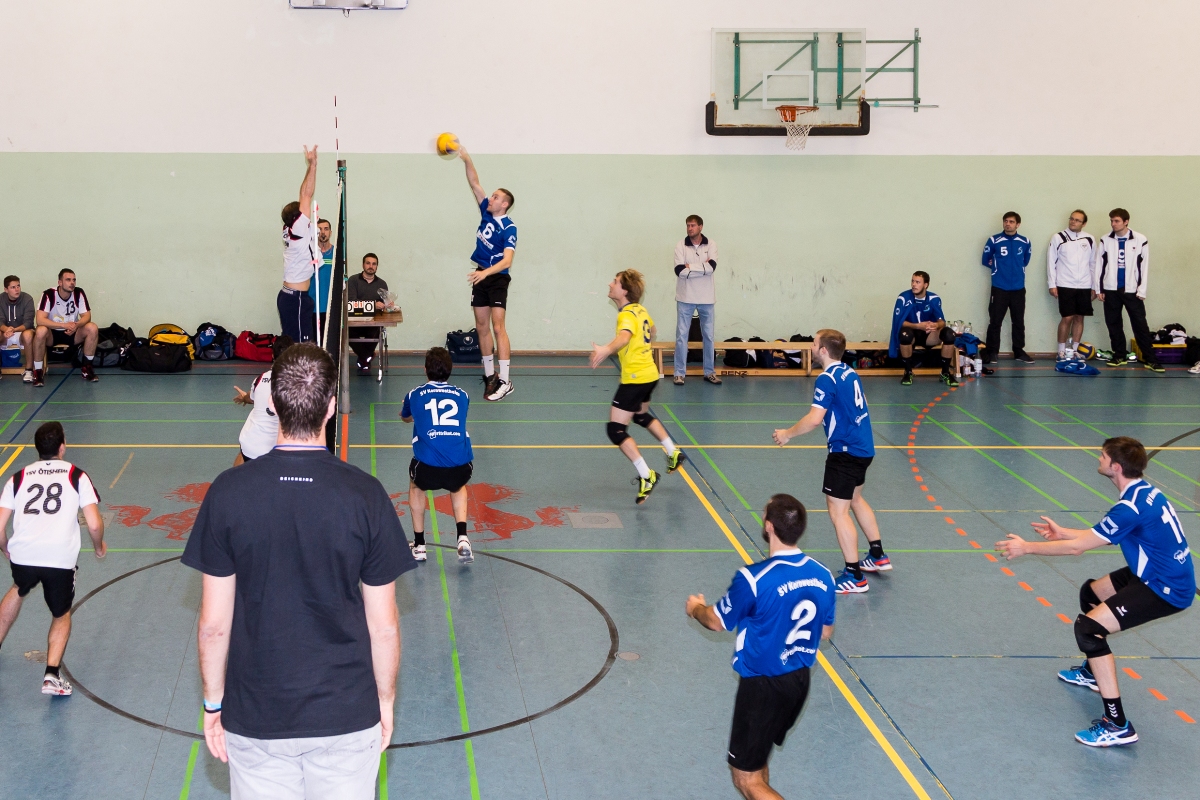 20151003 Herren1 Heimsieg sport verein salamander kornwestheim volleyball