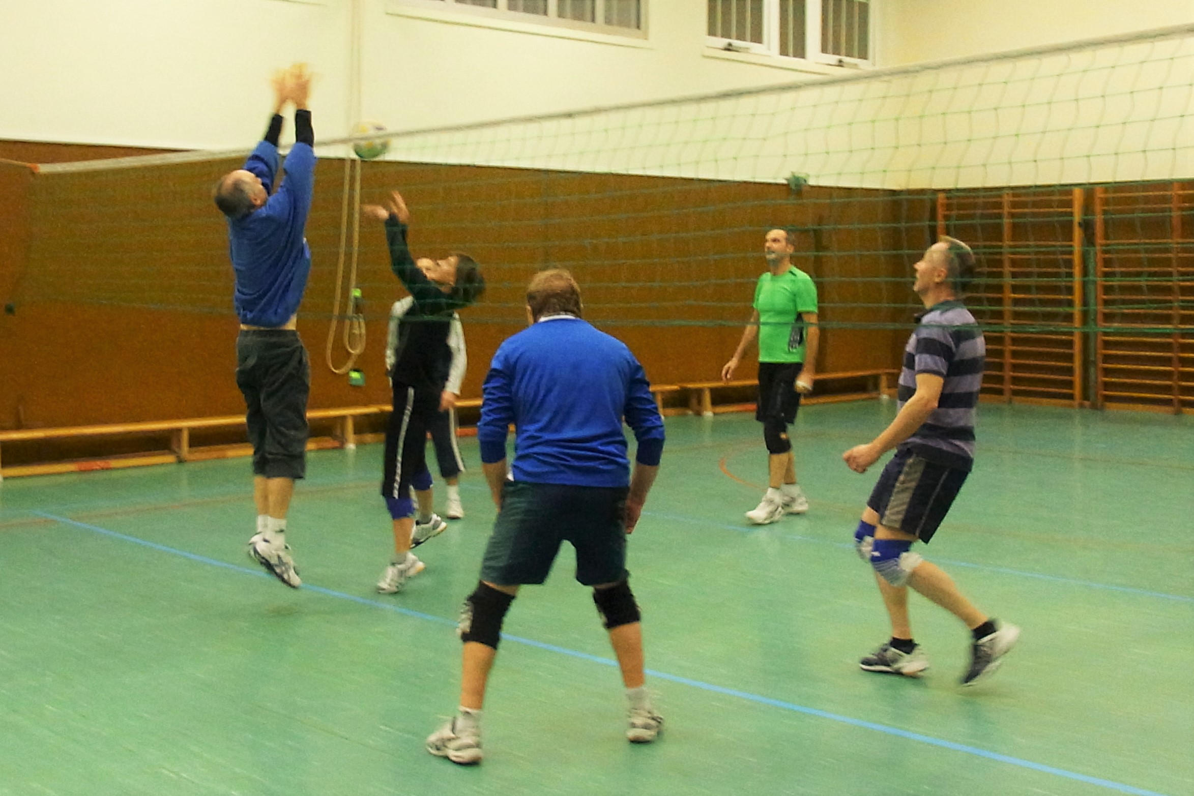 2015 freizeit gruppe02 sv salamander kornwestheim volleyball